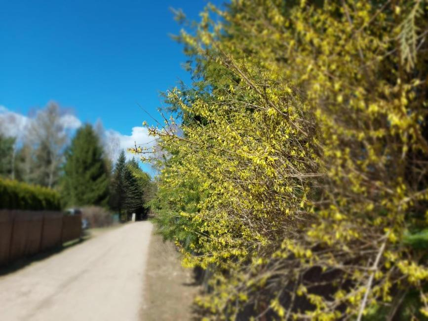 Ferienwohnung Cztery Pory Warmii Pluski Pokoje Do Wynajecia Exterior foto