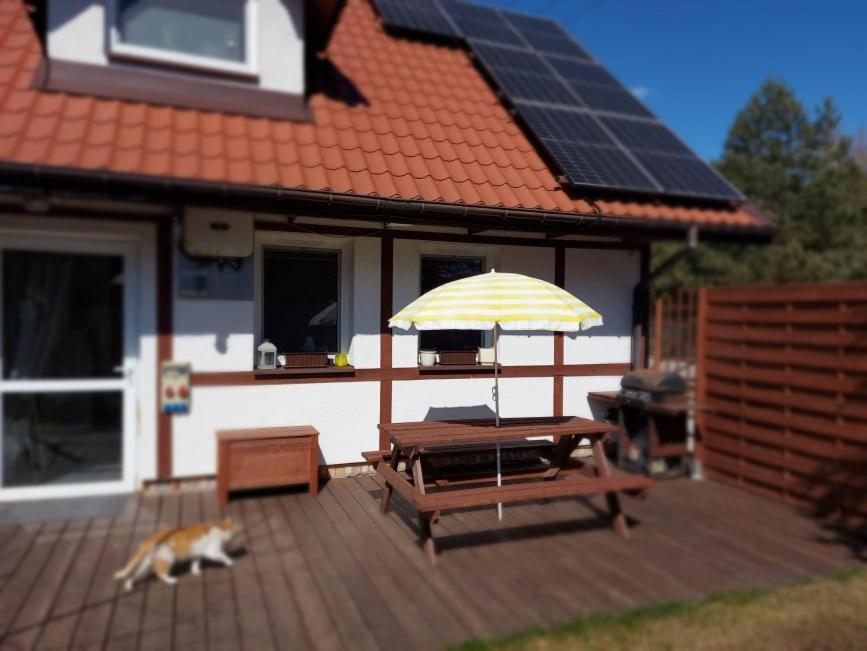 Ferienwohnung Cztery Pory Warmii Pluski Pokoje Do Wynajecia Exterior foto