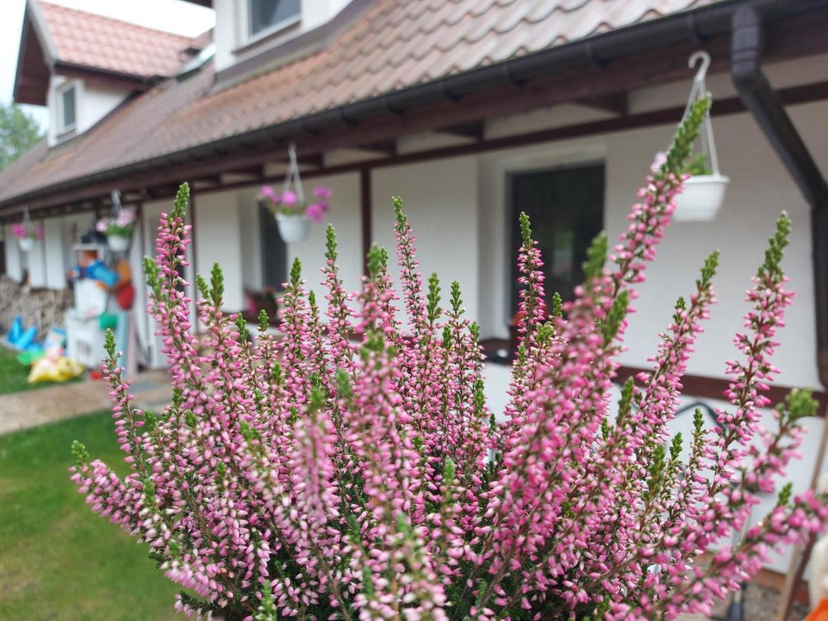 Ferienwohnung Cztery Pory Warmii Pluski Pokoje Do Wynajecia Exterior foto